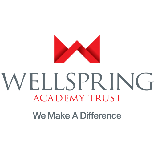 Wellspring Strap Logo Translucent Copy