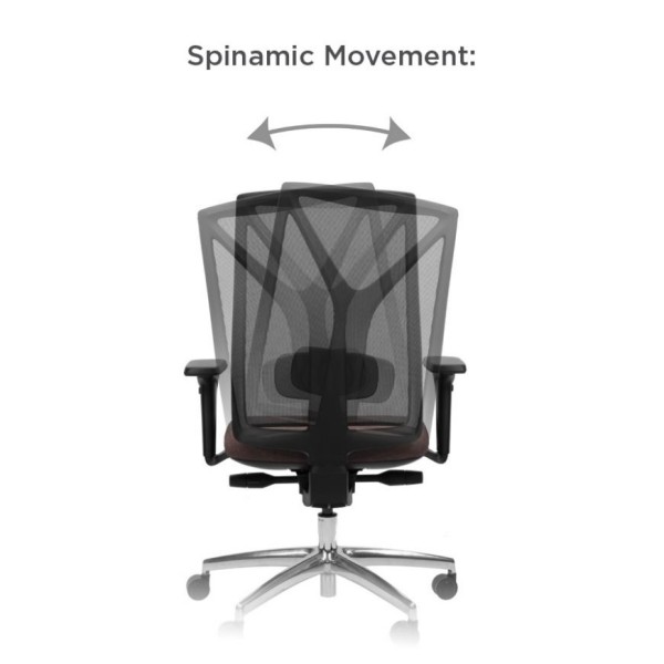 ISEO Spinamic Movement
